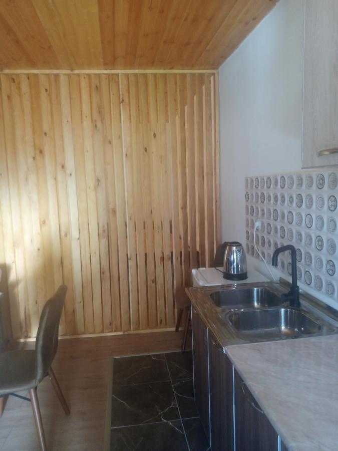 Guesthouse Data メスティア エクステリア 写真
